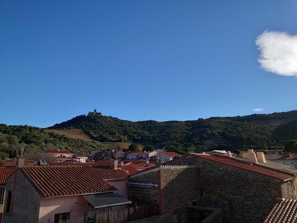 5Demo54 - Appartement Tres Proche Plage Et Toutes Commodites Collioure Dış mekan fotoğraf